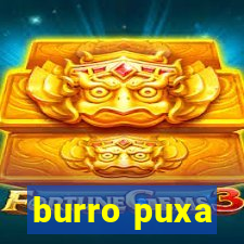 burro puxa